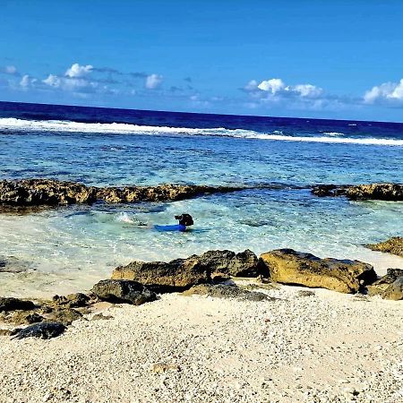 Un Ecrin De Paix Au Soleil Et Proche De La Mer Moorea Kültér fotó