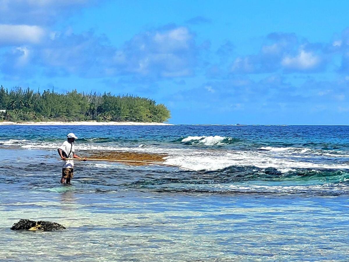 Un Ecrin De Paix Au Soleil Et Proche De La Mer Moorea Kültér fotó