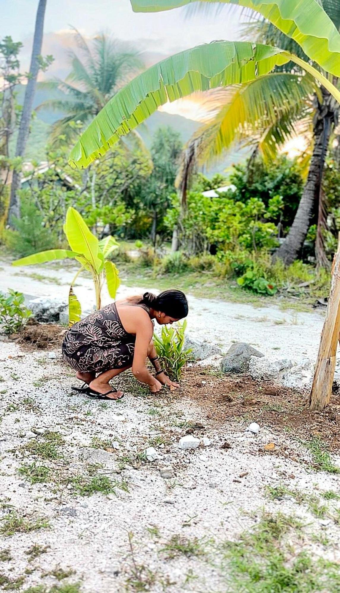 Un Ecrin De Paix Au Soleil Et Proche De La Mer Moorea Kültér fotó